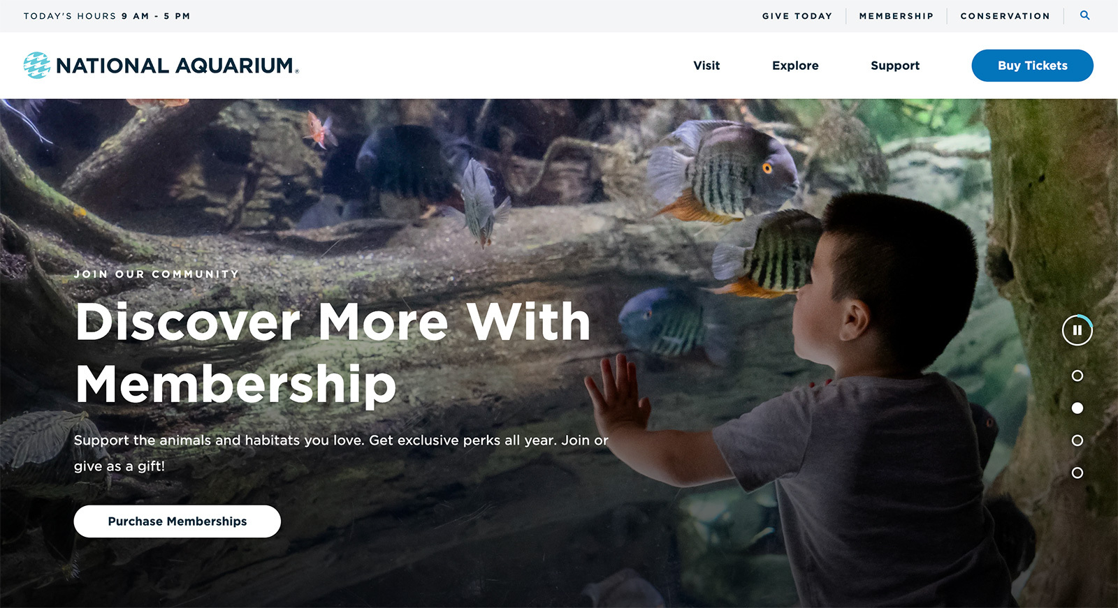 Aqua.org homepage design