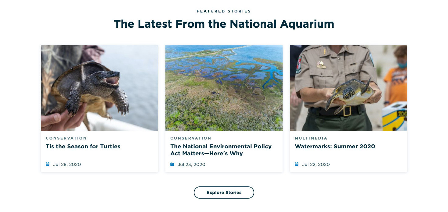 A templated Stories Module