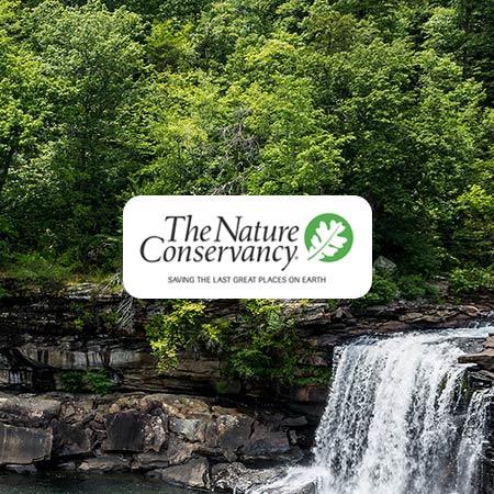 The Nature Conservancy