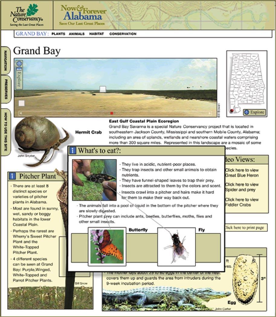 Nature Conservancy first website view