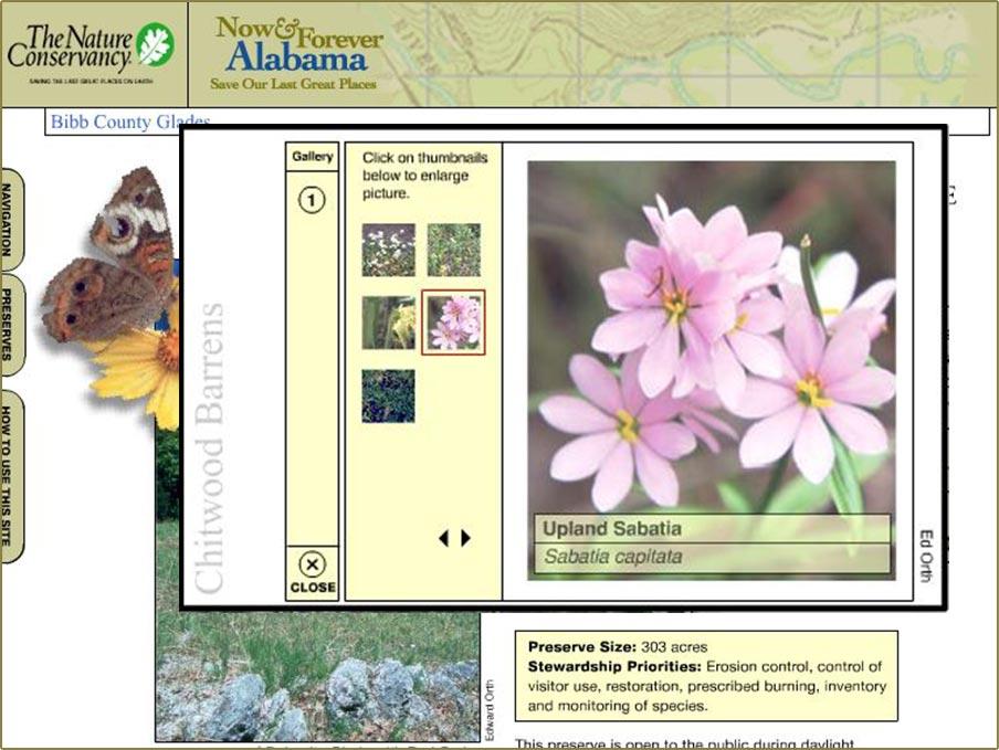 Nature Conservancy fourth website view