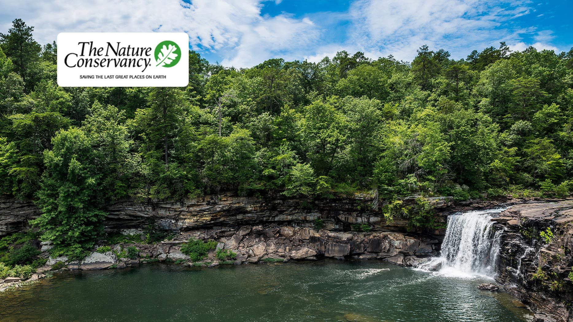 Nature Conservancy stage