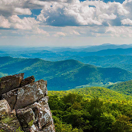 National Park Service