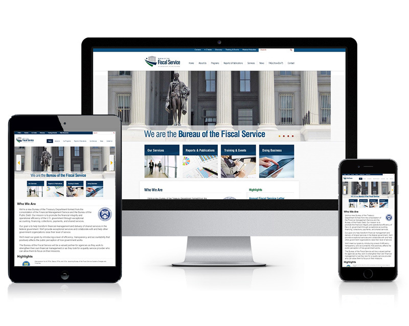 Department of Treasury fiscal service website views